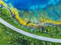 arial view of a road through trees beside tropical water